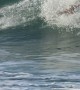 Body Surfer Spins in Wave