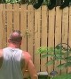 Man and His Yorkie Encounter Black Bear in Backyard