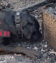 Accelerant Detection K9 Sniffs Out Gasoline