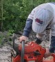 Little Man Frustrated About His Broken Chainsaw