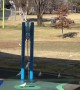 Parrots Love Playing on Large Teeter Totter