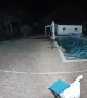 Deer Goes for a Late Night Swim in Pool
