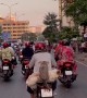 Saigon Pups Commute On Scooter