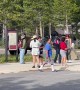 Tourists Approach Bison to Take Pictures in Yellowstone