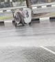 Garbage Drum Floats Down Street In Heavy Rain