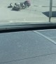 What Could Go Wrong, Pulling A Motorcycle With A Van