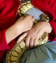 Even Snakes Snuggle