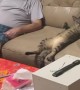 Cat Hangs Out Belly-Up With Grandpa