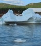 Beached Icebergs in Canada