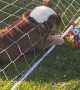 Gary the Bulldog is not the Smartest Goalkeeper