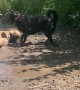 Lucy Loves Her Mud Baths