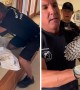 Firefighter rescues hawk trapped in fireplace