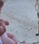 Curious Deer Make Little One Giggle