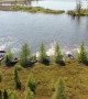 Relocating a Floating Bog on Lake Chippewa in Wisconsin