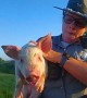 Police rescue piglet on side of highway