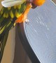 Mango the Parrot Scratches her Head with her Feather