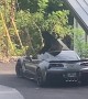 Black Bear Climbs Out of Corvette