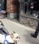 Excited French Bulldog makes hilarious screaming noises 