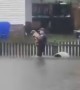 Police Rescue Dog From Rising Floodwaters