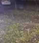 Golf ball size hail filmed in downtown Round Rock