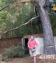 Felled Tree Falls On Fence And Shed