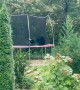 Four Black Bear Cubs Play On Trampoline