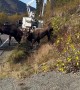 Moose Battle On A Hillside