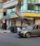 A Web-Swinging Street Performance in Argentina
