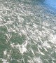 School of Fish Flocks to the Surface