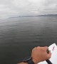 Two Whales Breach Just Feet From Paddleboarder