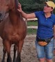 Trainer Builds Special Bond With Horse