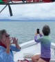 Enthusiastic Tourists React to Whale Sightings