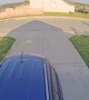 Runaway Vehicle Rolls Out of Driveway