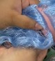 Doll Gets Blue Hair Sewn On