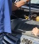 Removing a Venomous Snake From a Car Engine