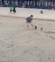 Birds Ride on Backs of Little Dogs