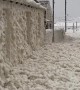 Sudsy Sea Foam Swamps Cape Town Shores