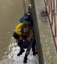 Firefighters save dog trapped in water under bridge
