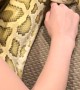 Girl Is a Snake Whisperer