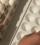 Egg Carton Kitchen Hack
