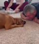Amazing family adopts stray dog in emotional video 