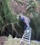 Lamb Rescued From Deep Ravine