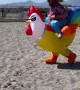 Barrel Racing Chicken