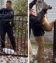 Police rescue deer stuck in fence