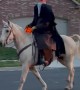 Headless Horseman Goes for a Neighborhood Stroll