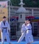 Golden Retriever Wants to Be a Part of Taekwondo Demonstration