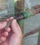 Freeing a Small Lizard Stuck in a Pipe