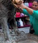 Woman Picks Up Coin That Was Just Thrown in the Fountain