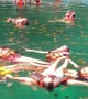 Swirling Swim With Siargao Jellyfish