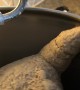 Excited Bread Dough Rises In Mixer